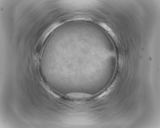 X0000087751369200705211027