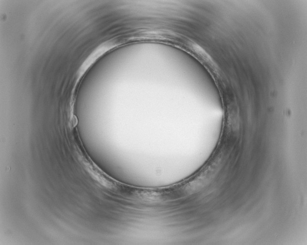 X0000087751370200705211027