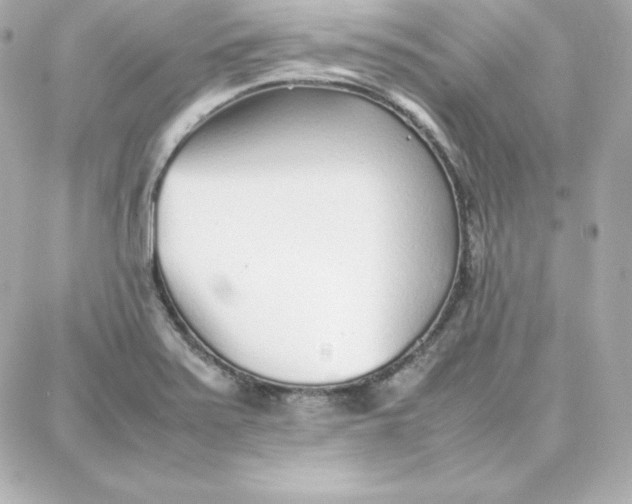 X0000087751371200705211027