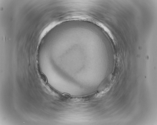 X0000087751373200705211026