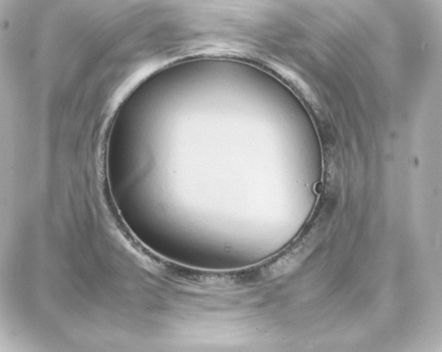 X0000087751375200705211026