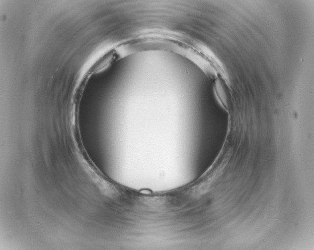 X0000087751376200705211026