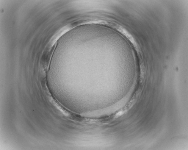 X0000087751377200705211026