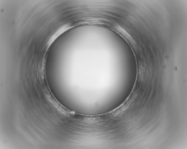 X0000087751378200705211026