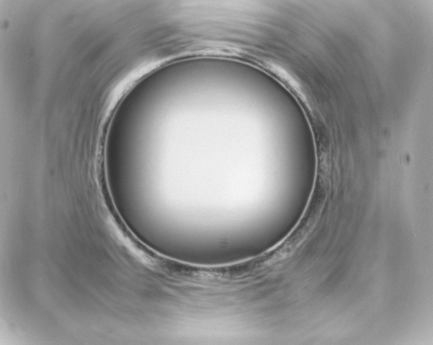 X0000087751379200705211026