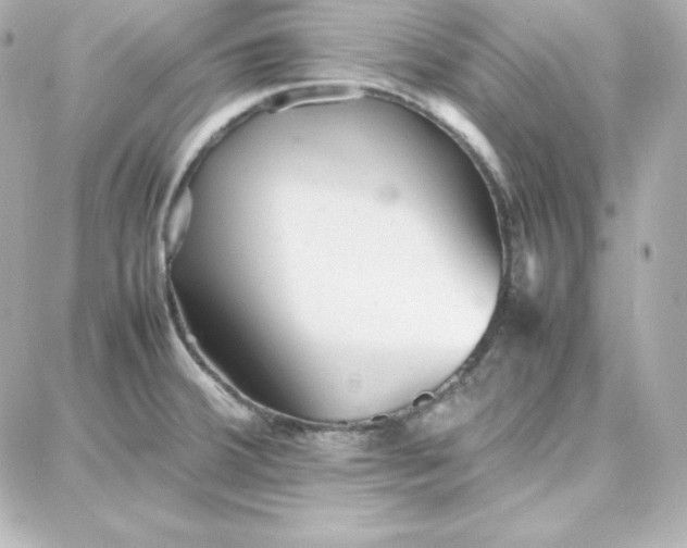 X0000087751380200705211026