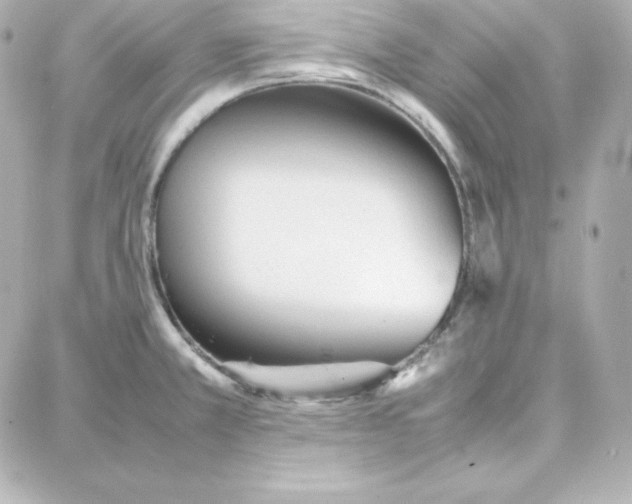 X0000087751381200705211026