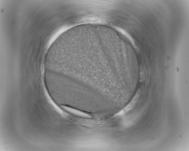 X0000087751383200705211026