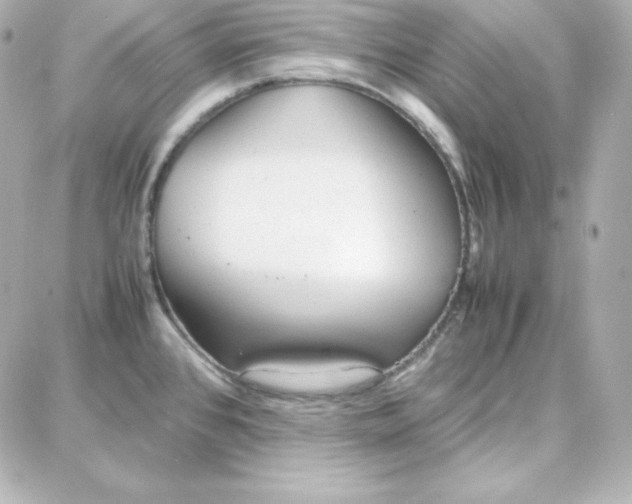 X0000087751384200705211026