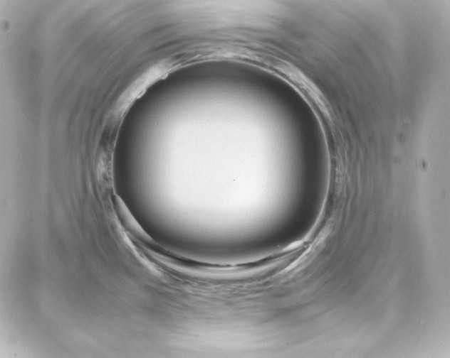 X0000087751385200705211026