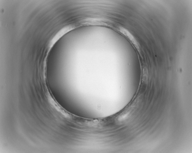 X0000087751386200705211026