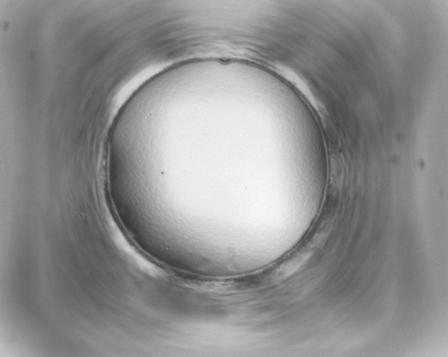 X0000087751387200705211026