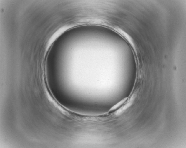 X0000087751389200705211026