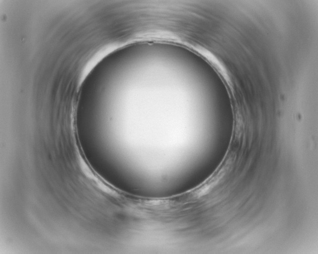 X0000087751390200705211026