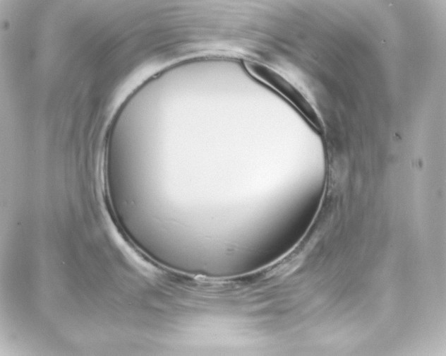 X0000087751391200705211026