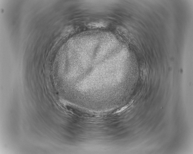 X0000087751393200705211025