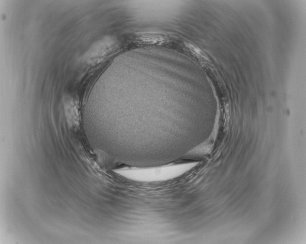 X0000087751394200705211025