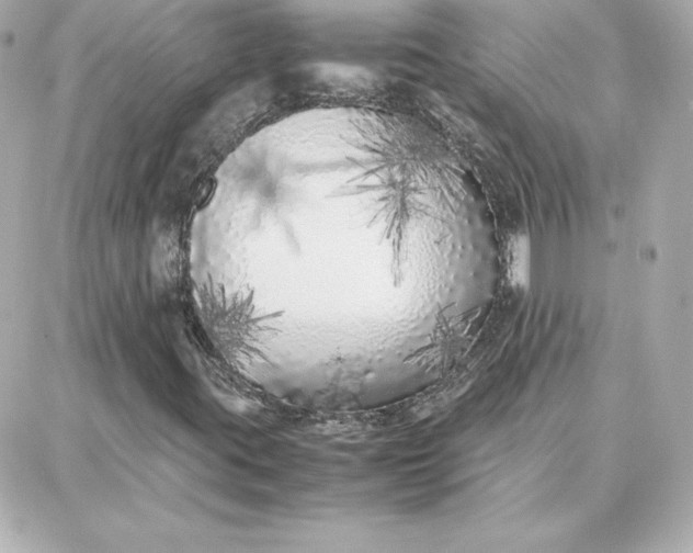 X0000087751395200705211025