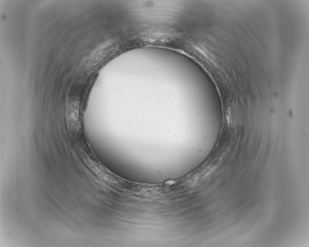 X0000087751396200705211025