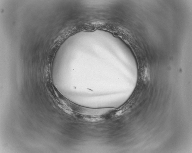 X0000087751397200705211025