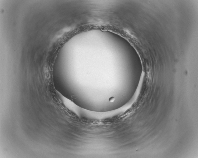 X0000087751398200705211025