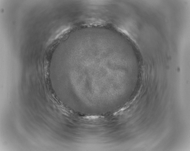 X0000087751399200705211026