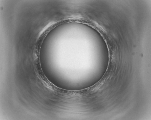 X0000087751400200705211026