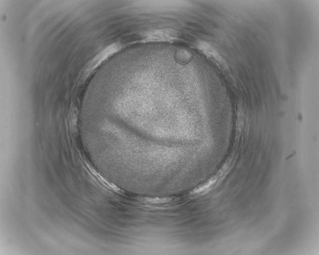 X0000087751401200705211026