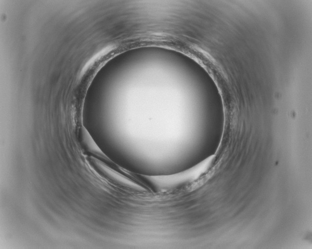 X0000087751402200705211026