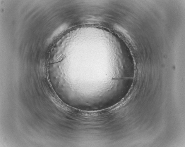 X0000087751403200705211026