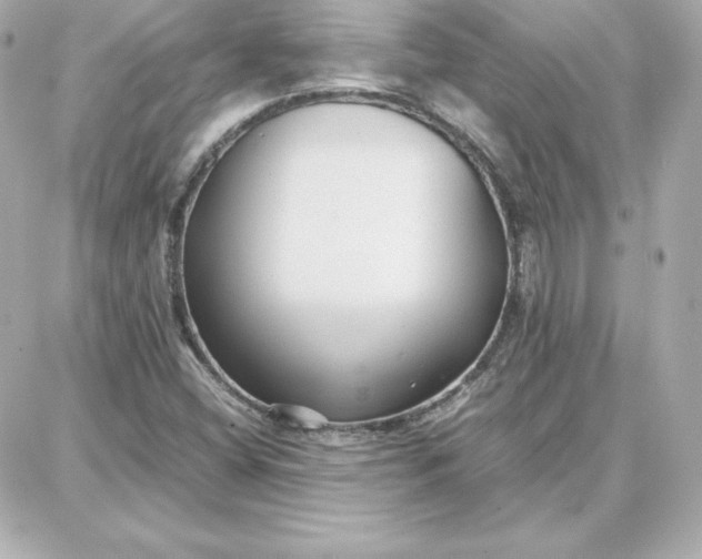 X0000087751404200705211026