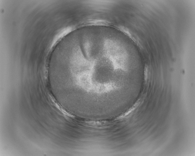 X0000087751405200705211026