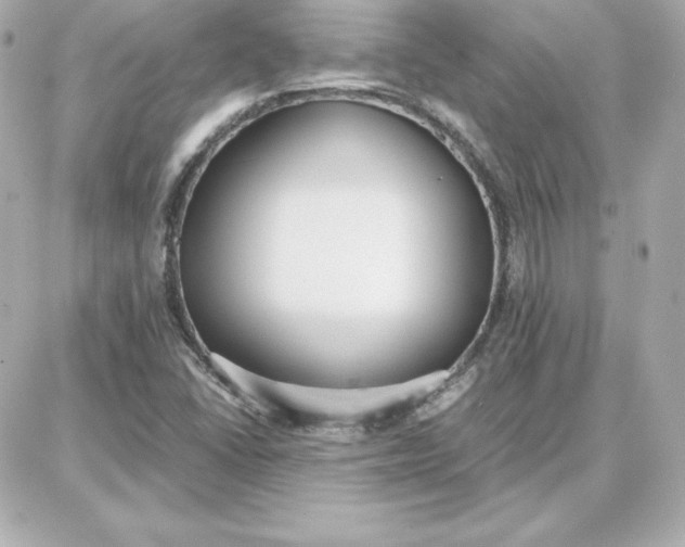 X0000087751406200705211026