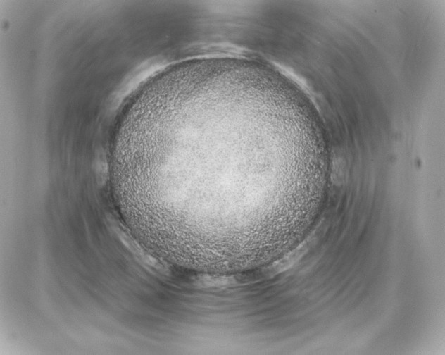 X0000087751407200705211026