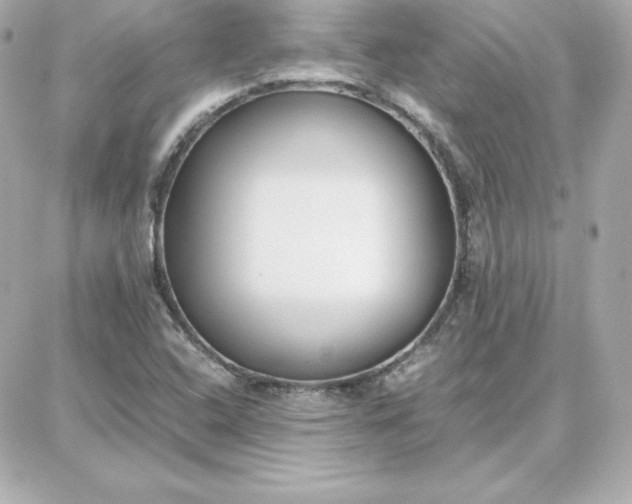 X0000087751408200705211026