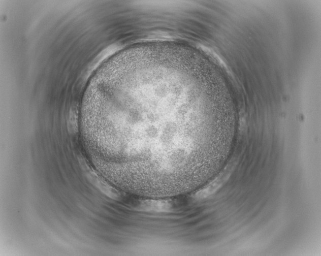 X0000087751409200705211026