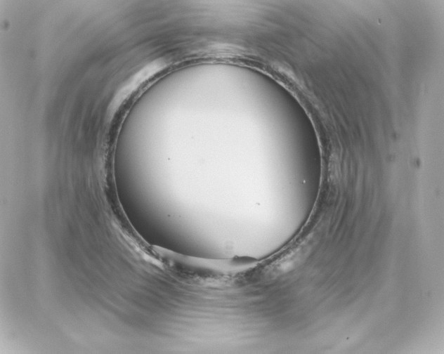 X0000087751410200705211026