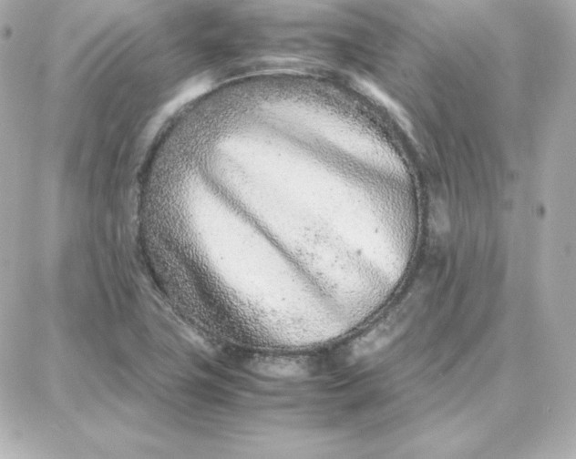 X0000087751411200705211026