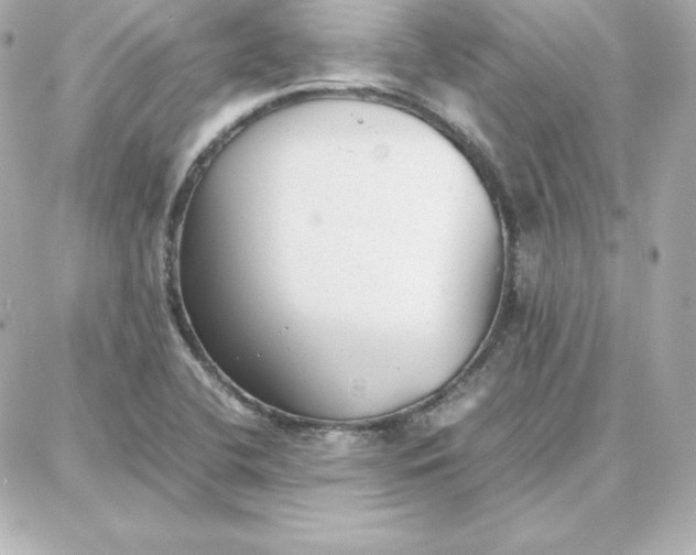 X0000087751412200705211026