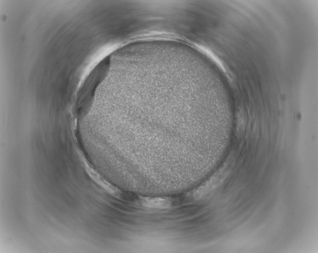 X0000087751413200705211026