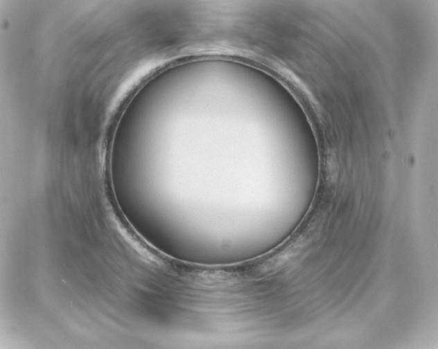 X0000087751416200705211026