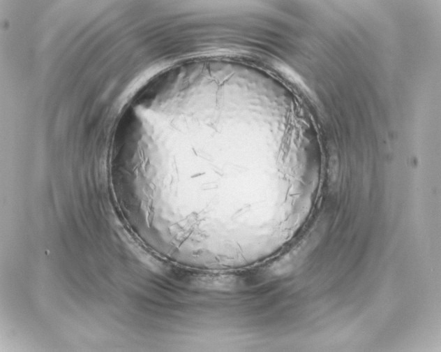 X0000087751417200705211026