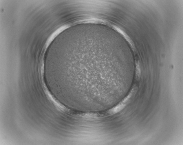 X0000087751418200705211026