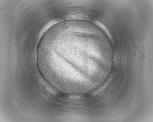 X0000087751419200705211026