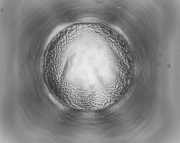 X0000087751421200705211026