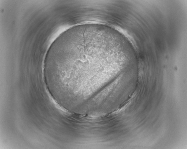 X0000087751423200705211026