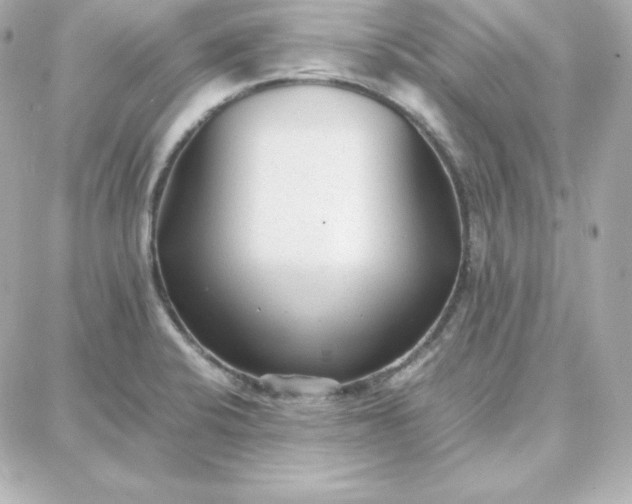 X0000087751424200705211026