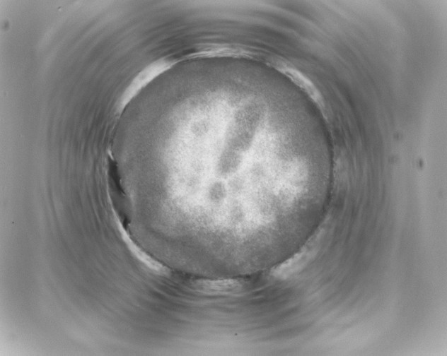 X0000087751425200705211026