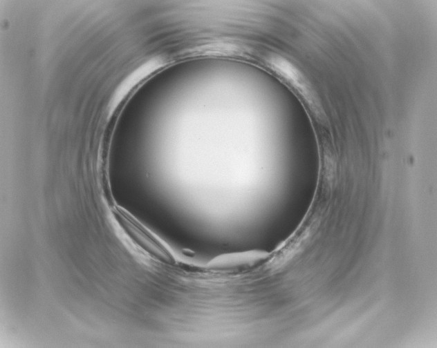 X0000087751426200705211026