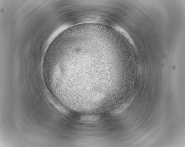 X0000087751427200705211026